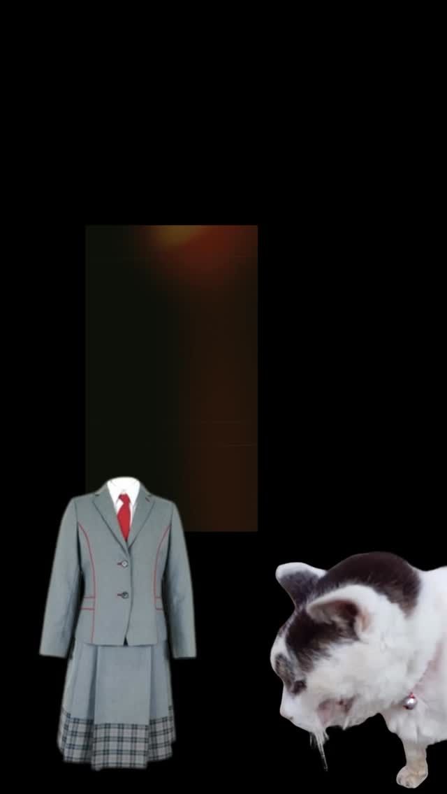 【北鎌倉女子学園　学校紹介動画①】
⁡
今年度からスタートした国際コースの生徒たちが、本校の紹介動画を作成しました🎥
作品の一つを紹介します。ぜひご視聴ください♪
⁡
#北鎌倉女子学園
#Kitakamakuragirls’school
#Kitakamakura
#北鎌倉　
#キタカマ
#神奈川県
#女子校
#私立学校
#中学校
#highschool
#juniorhighschool
#国際コース
#globalcourse