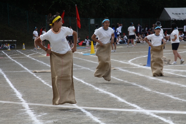 障害物競走 Obstacle Racing Japaneseclass Jp