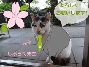16chu-goukaku01no1