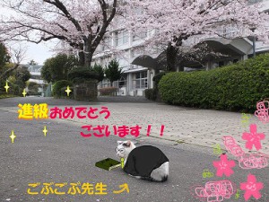 16chu-goukaku01no2