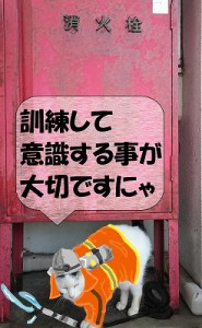 16chu-goukaku03