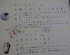 16chu-goukaku08-2