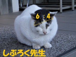 16chu-goukaku08-3