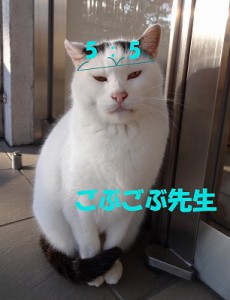 16chu-goukaku08-4