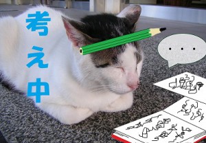 16chu-goukaku09