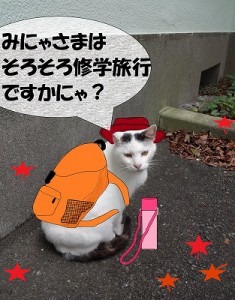 16chu-goukaku26