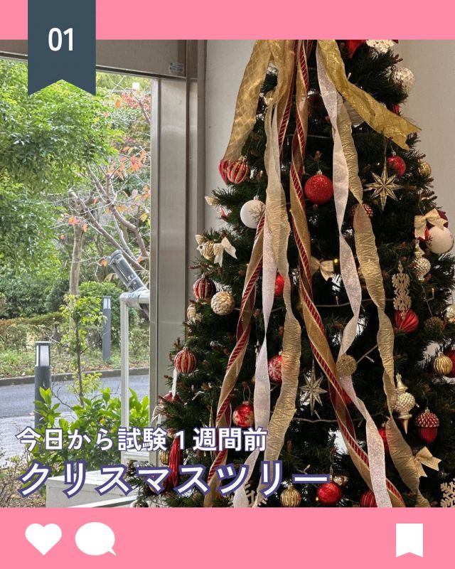 【北鎌倉女子学園　試験１週間前】
⁡
今日から後期中間試験の１週間前になりました。正面玄関には少し早くクリスマスツリー🎄が飾られて、登下校の生徒たちの目を楽しませています。
⁡
#北鎌倉女子学園
#Kitakamakuragirls’school
#Kitakamakura
#北鎌倉　
#キタカマ
#神奈川県
#女子校
#私立学校
#中学校
#highschool
#juniorhighschool
#クリスマスツリー
#定期試験