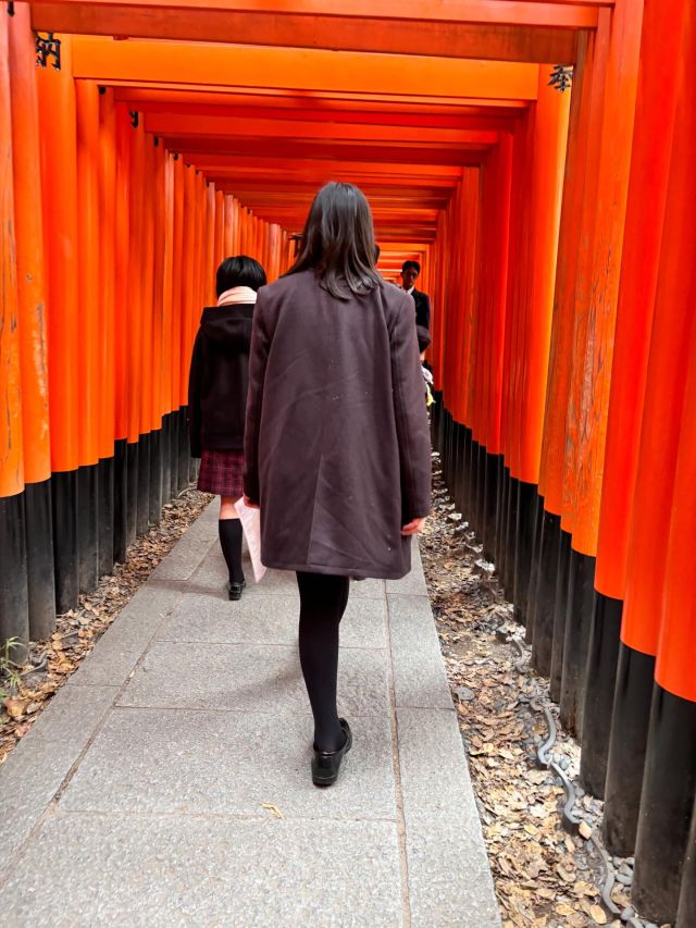 【北鎌倉女子学園　中学修学旅行③】
⁡
3日目は京都を班別行動で巡りました。朝食後にタクシーに乗り込み、ドライバーさんに色々なお話や穴場のお店を教えていただきながら丸一日京都観光を楽しみました。生徒達は両手に沢山のお土産を携えてお宿に戻ってきました。
⁡
#北鎌倉女子学園
#Kitakamakuragirls’school
#Kitakamakura
#北鎌倉　
#キタカマ
#神奈川県
#女子校
#私立学校
#中学校
#highschool
#juniorhighschool
#台湾
#中２
#修学旅行
#京都
#班別行動